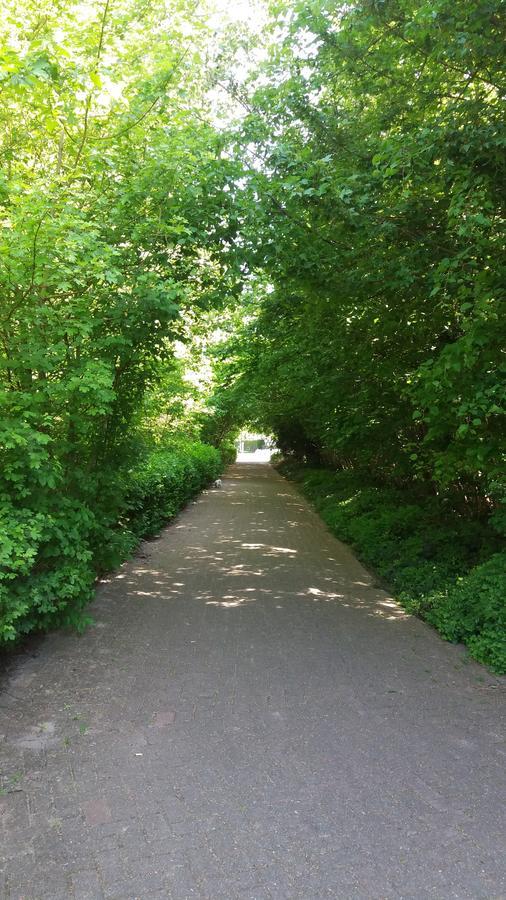 科林卡特住宿加早餐旅馆 Rumst 外观 照片